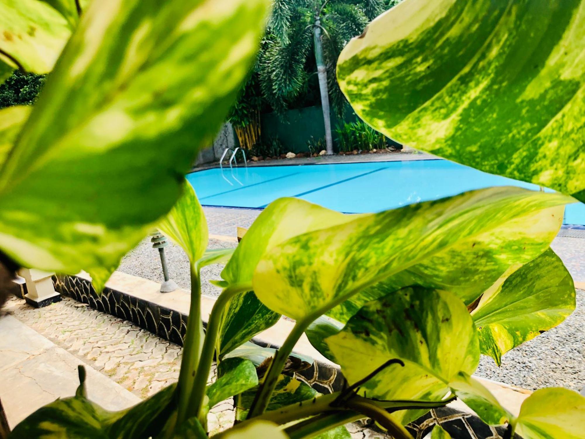 Saman Resort Yala Tissamaharama Exterior foto