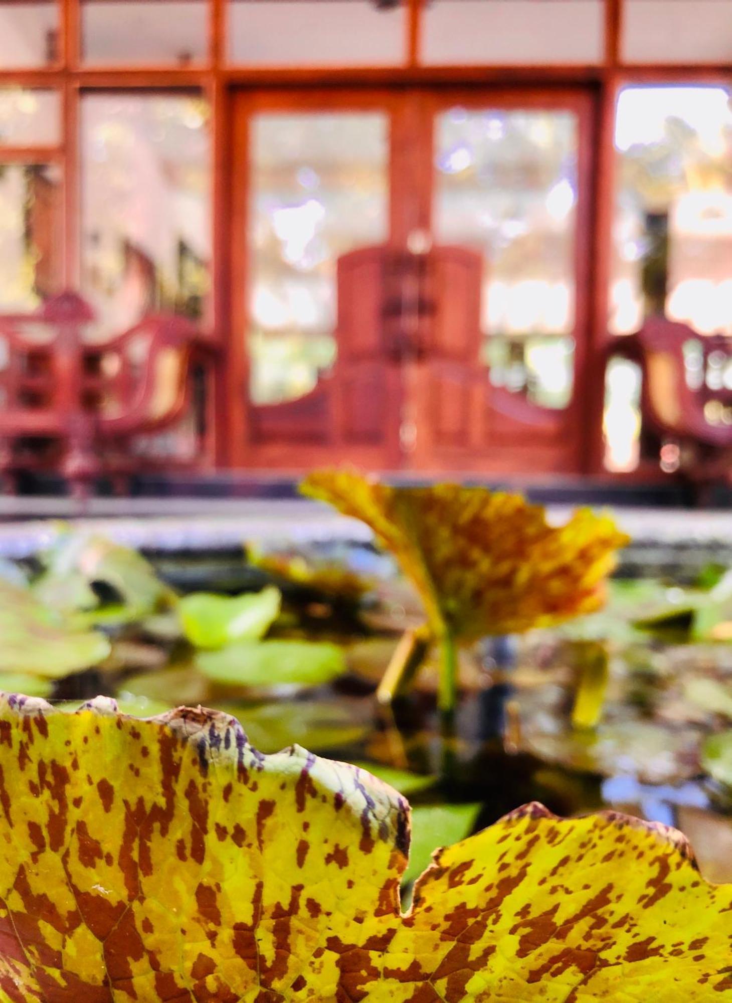 Saman Resort Yala Tissamaharama Exterior foto